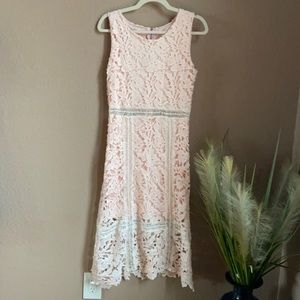 Blush formal floral Appliqué details MIDI Dress